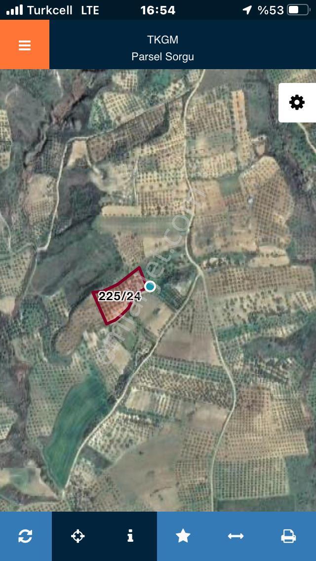 Şarköyde Işık Emlaktan İğdebağları Mah De 4477 M2 Zeytinlik - Görsel 11