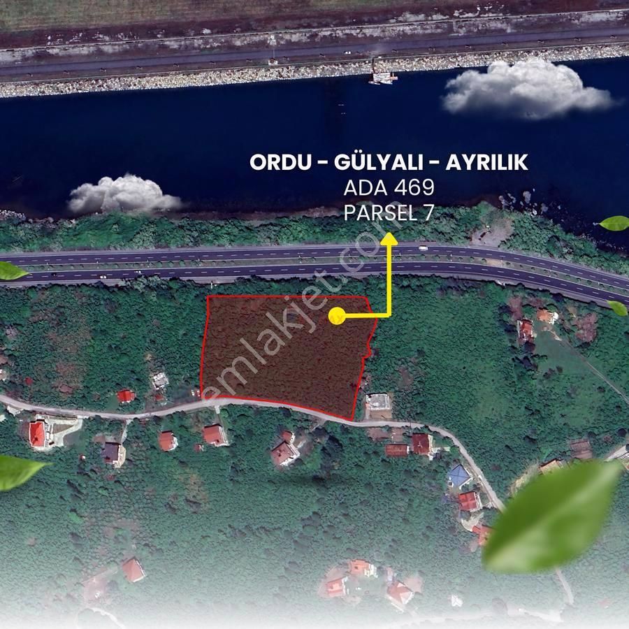 Gülyalı Ayrılık Satılık Bağ & Bahçe ORDU HAVAALANI KARŞISI TEK TAPU 10.922 m² YATIRIMLIK FINDIK BAHÇESİ