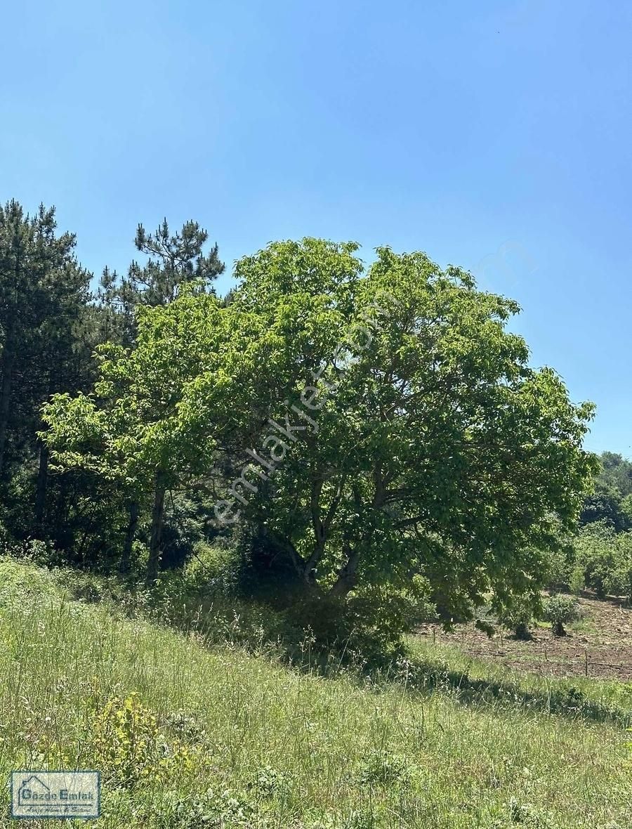 Geyve İhsaniye Satılık Tarla Gözde Emlakdan Sakarya Geyve İhsaniye 12.408m2 Resmî Yolu Var