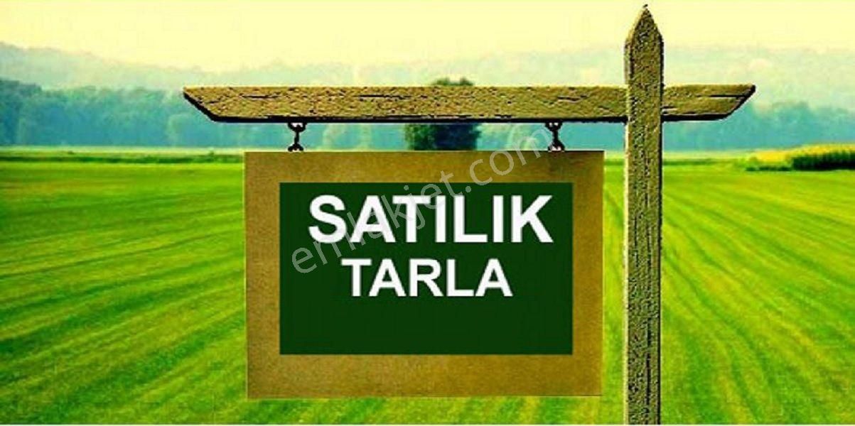 Develi Hoşça Satılık Tarla  ÖZ GAYE EMLAKTAN DEVELİ HOŞÇA MAHALLESİ BELÇİK MEVKİNDE SATILIK TARLA