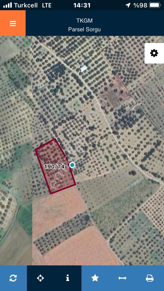Şarköyde Işık Emlaktan İğdebağları Mah De 3800 M2 Zeytinlik - Görsel 19
