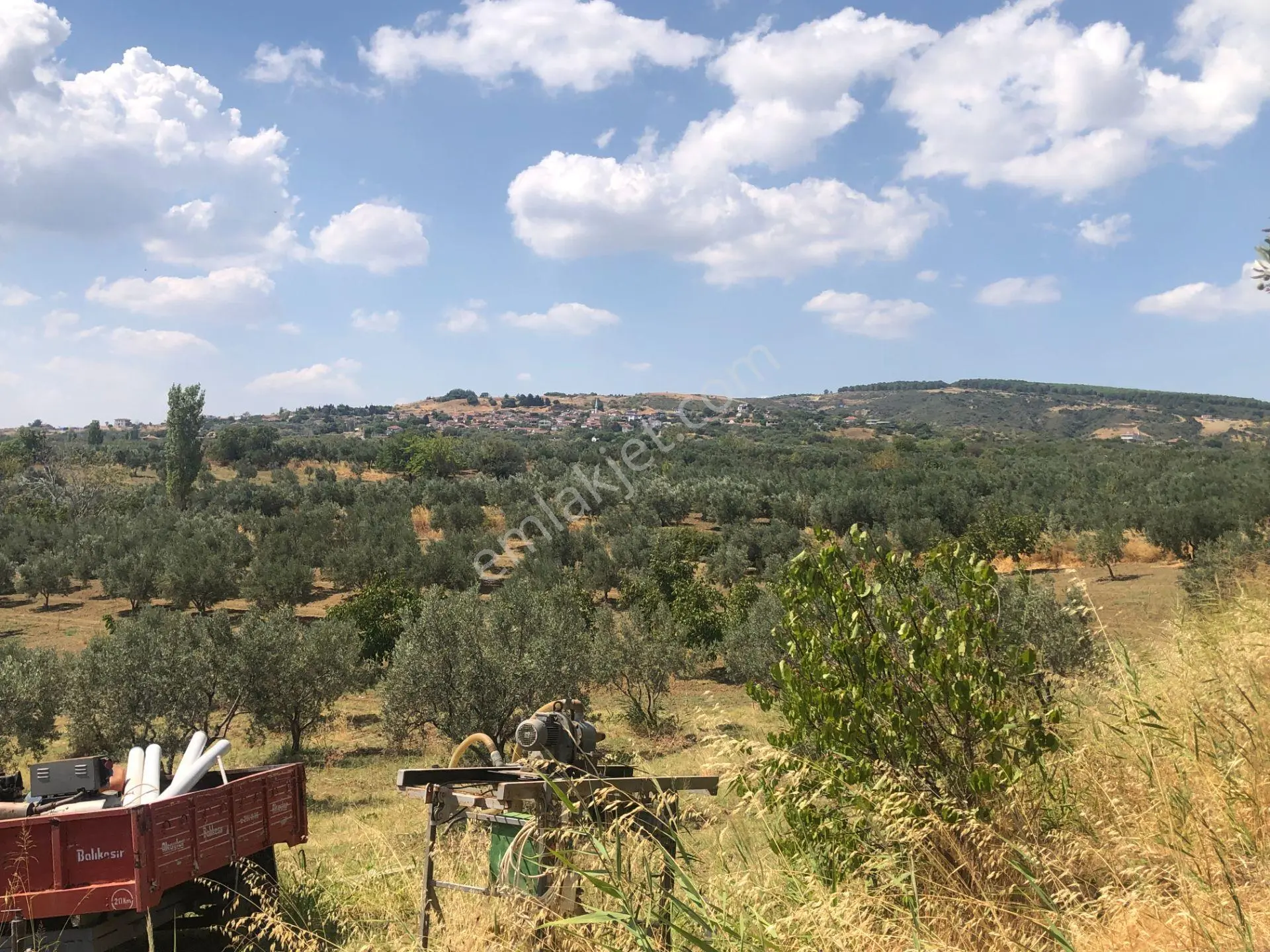 Şarköyde Işık Emlaktan İğdebağları Mah De 3800 M2 Zeytinlik - Görsel 5