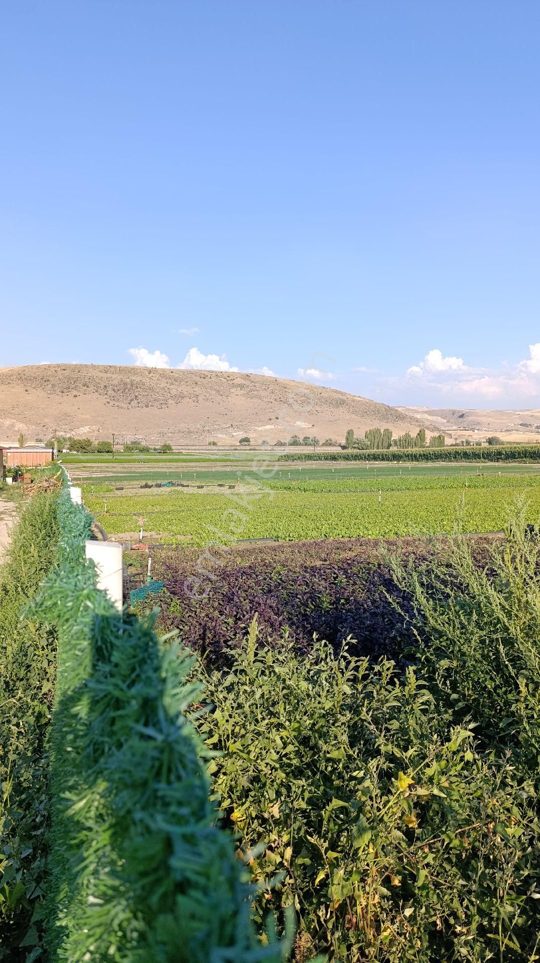 Ayaş Gökler Satılık Bağ & Bahçe Ayaş Gökler Köyünde 700 Mt Tapulu Yatırımlık Arsa Sincan 7 Kilometre