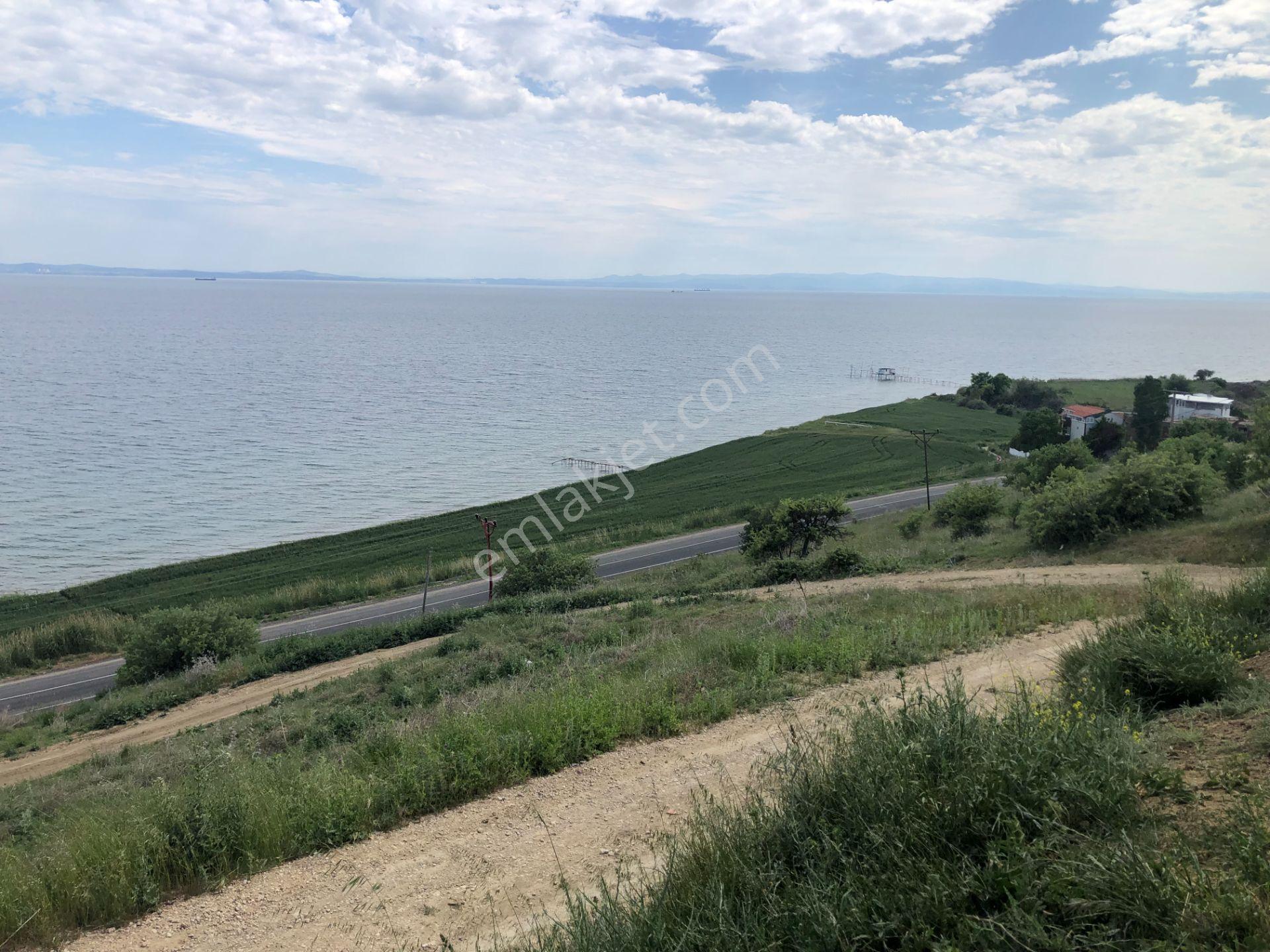 Şarköy De Işık Emlaktan İstiklal Mah De 4300 M2 0/25 İmarli 18 Parseller - Görsel 6