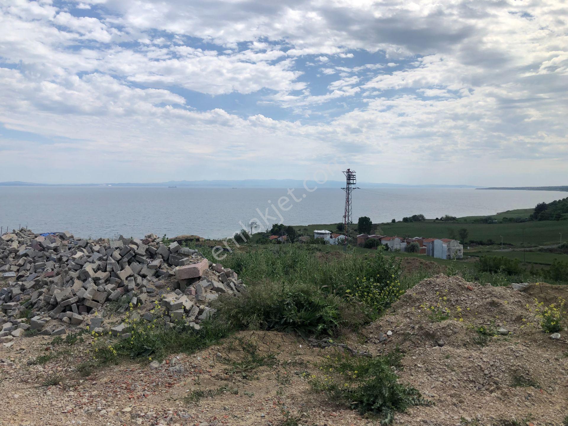 Şarköy De Işık Emlaktan İstiklal Mah De 4300 M2 0/25 İmarli 18 Parseller - Görsel 12
