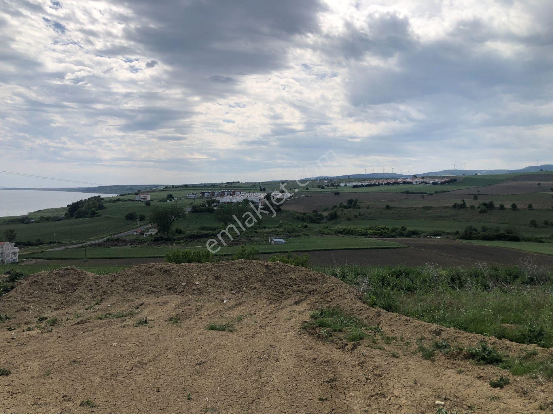 Şarköy De Işık Emlaktan İstiklal Mah De 4300 M2 0/25 İmarli 18 Parseller - Görsel 13