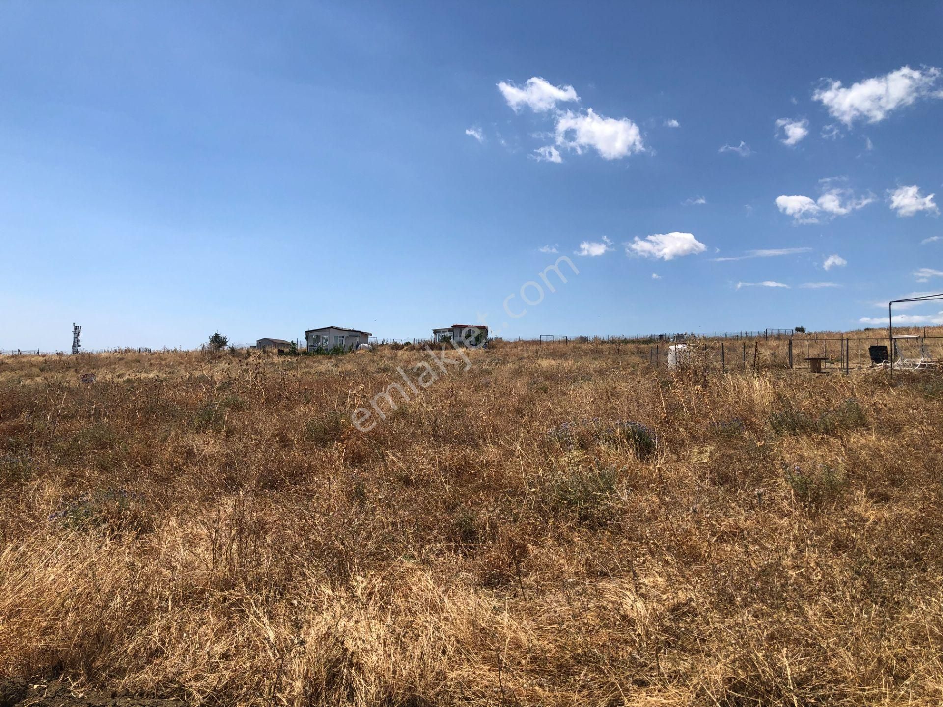 Şarköy De Işık Emlaktan İstiklal Mah De 218 M2 0/25 İmarlı Arsa Ve Bağ Evi - Görsel 10