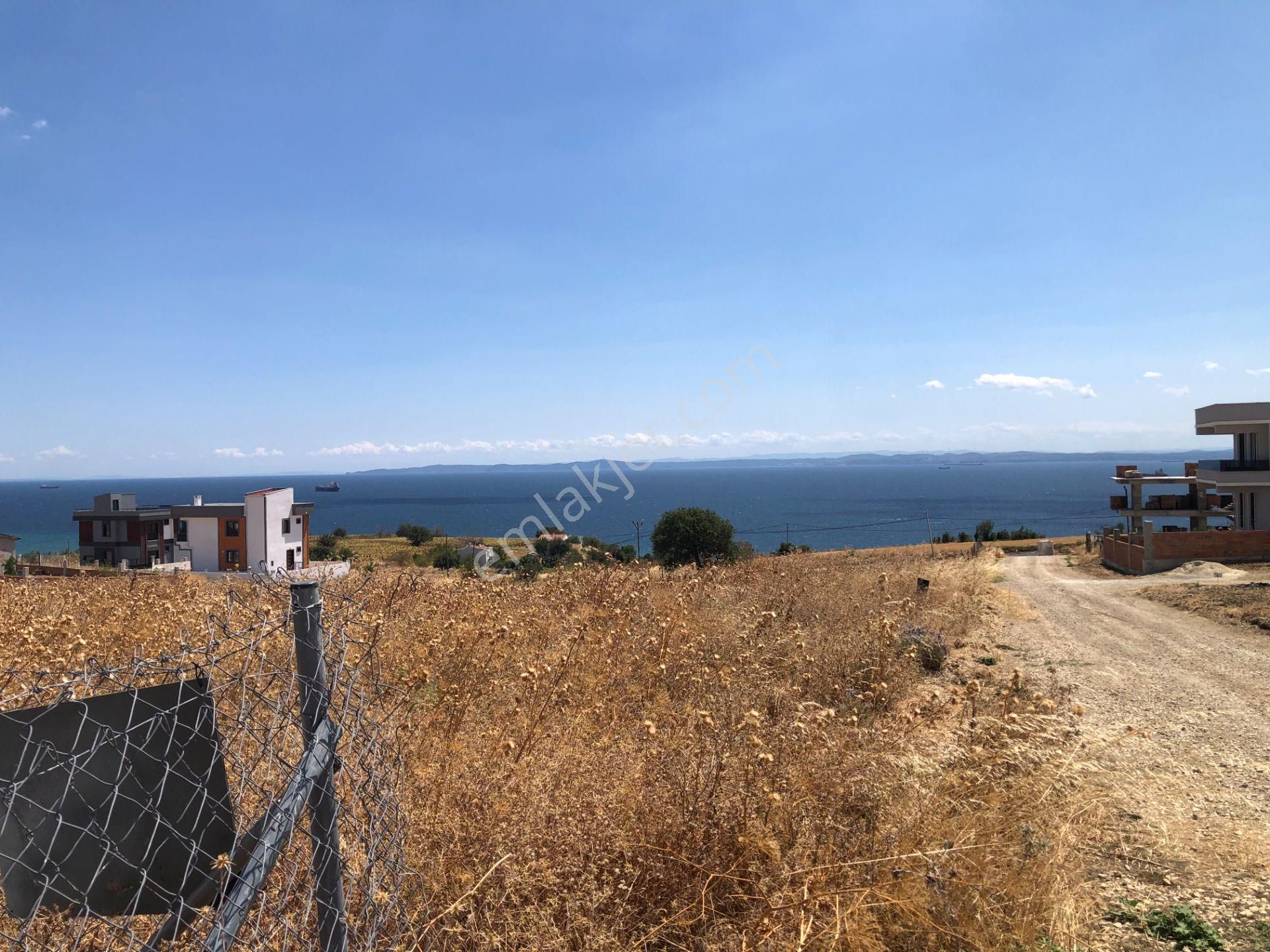 Şarköy De Işık Emlaktan İstiklal Mah De 218 M2 0/25 İmarlı Arsa Ve Bağ Evi - Görsel 7