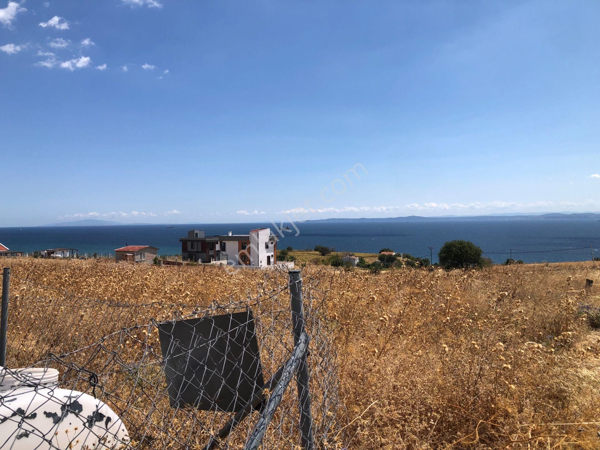 Şarköy De Işık Emlaktan İstiklal Mah De 218 M2 0/25 İmarlı Arsa Ve Bağ Evi - Görsel 3