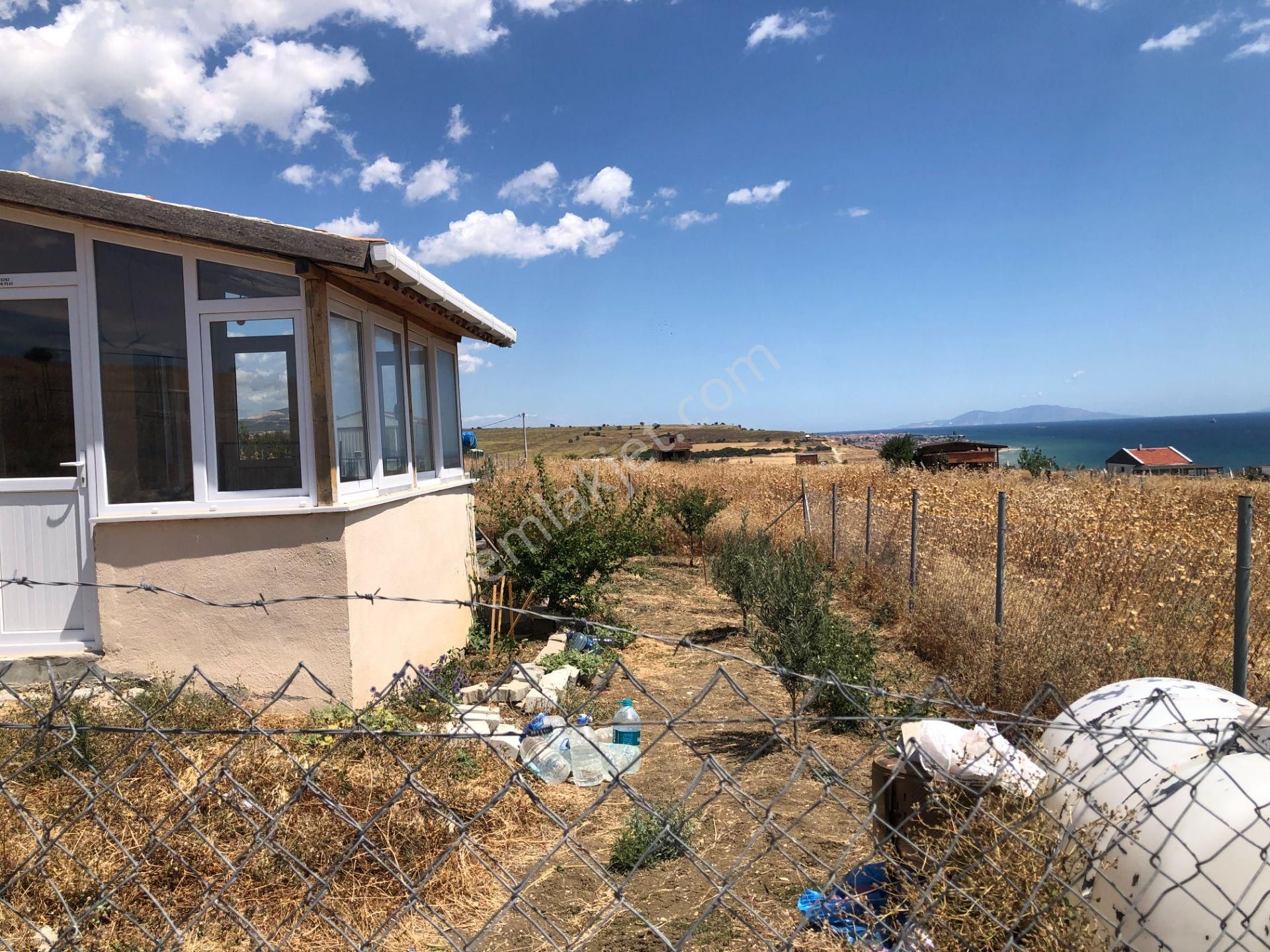 Şarköy De Işık Emlaktan İstiklal Mah De 218 M2 0/25 İmarlı Arsa Ve Bağ Evi - Görsel 5