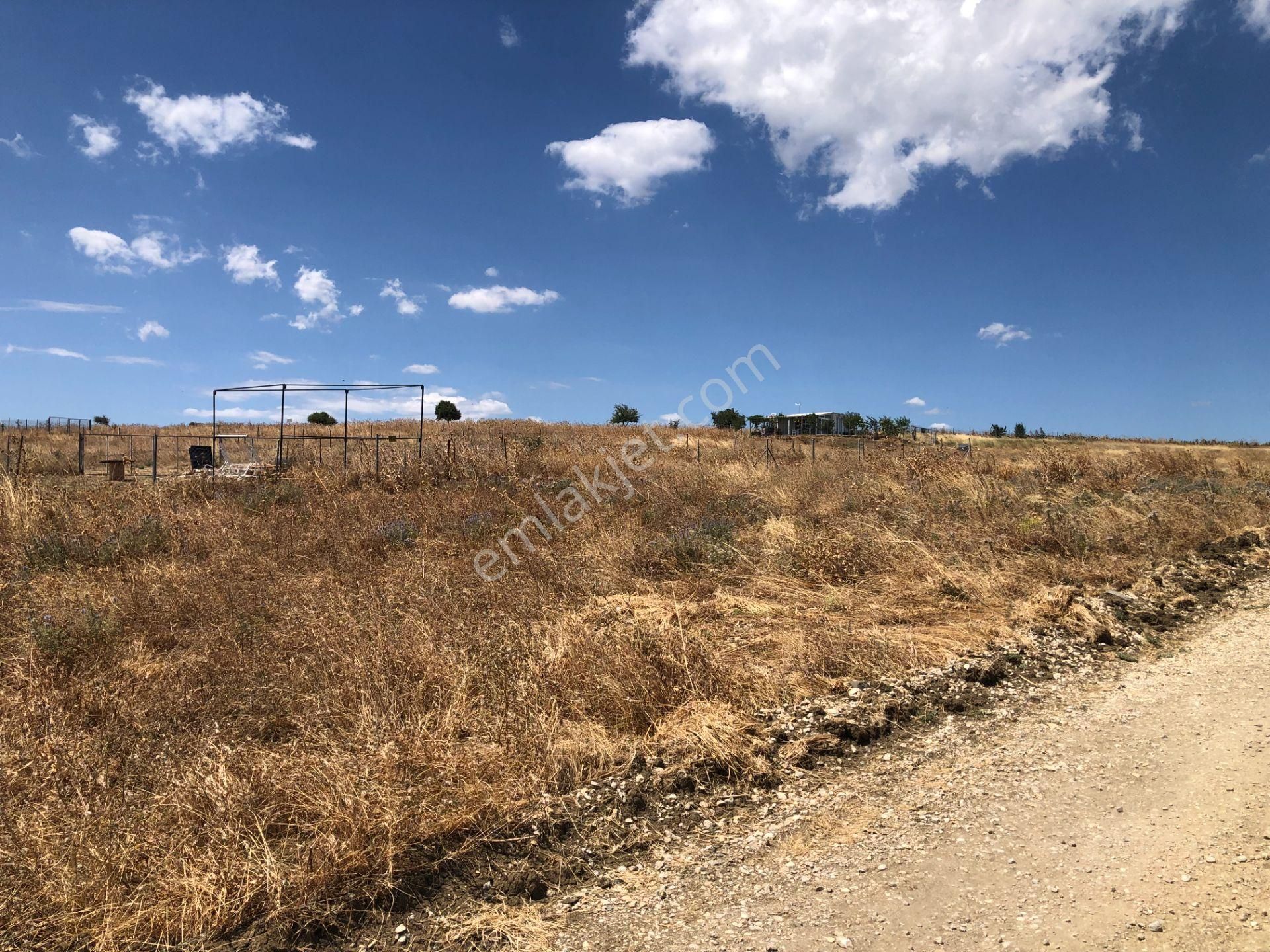Şarköy De Işık Emlaktan İstiklal Mah De 218 M2 0/25 İmarlı Arsa Ve Bağ Evi - Görsel 9