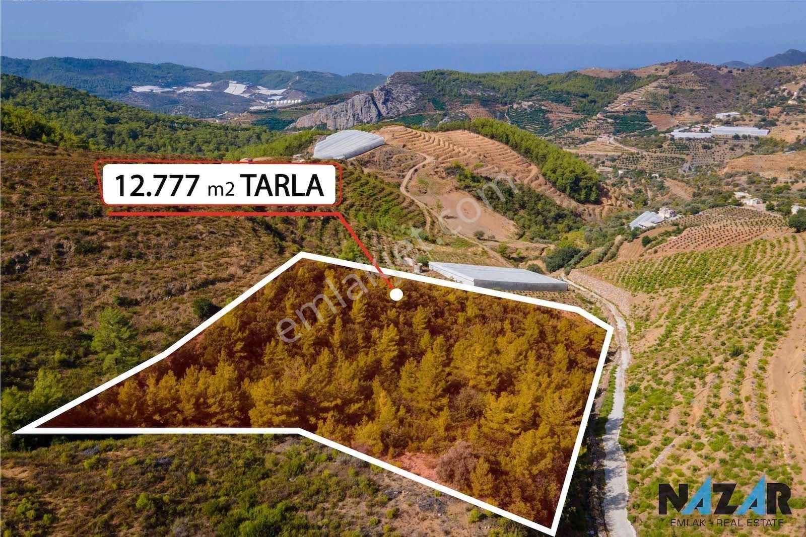 Alanya Hocalar Satılık Tarla Alanya Hocalar da Satılık 12.431 m2 Tarla