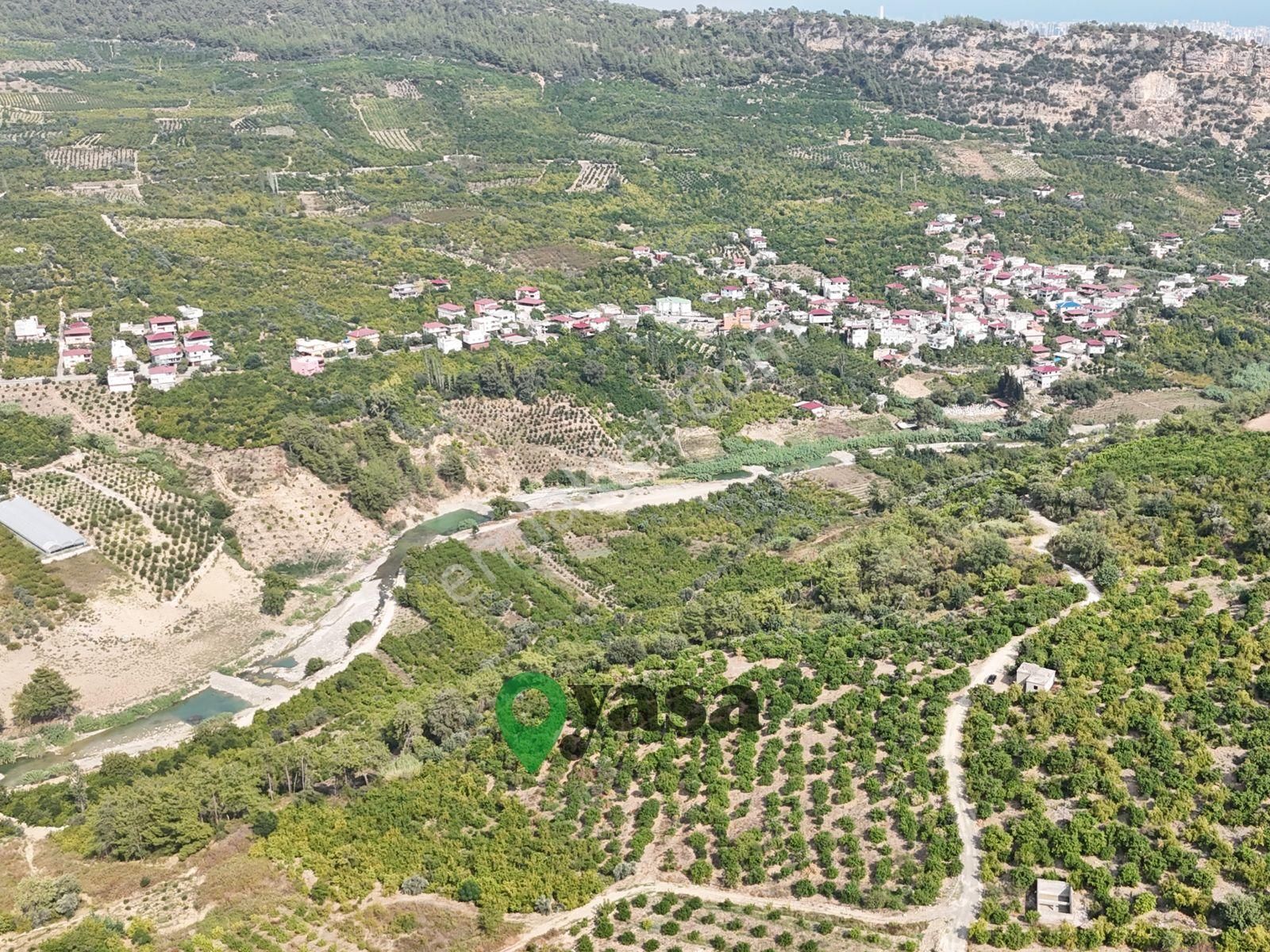 Yaşa Gyd - Yenişehir Karahacılı 18 Dönüm Satılık Limon Bahçesi - Görsel 3