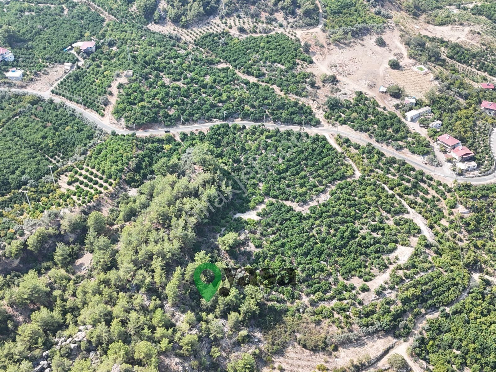 Yaşa Gyd - Yenişehir Karahacılı 27 Dönüm Satılık Limon Bahçesi - Görsel 2