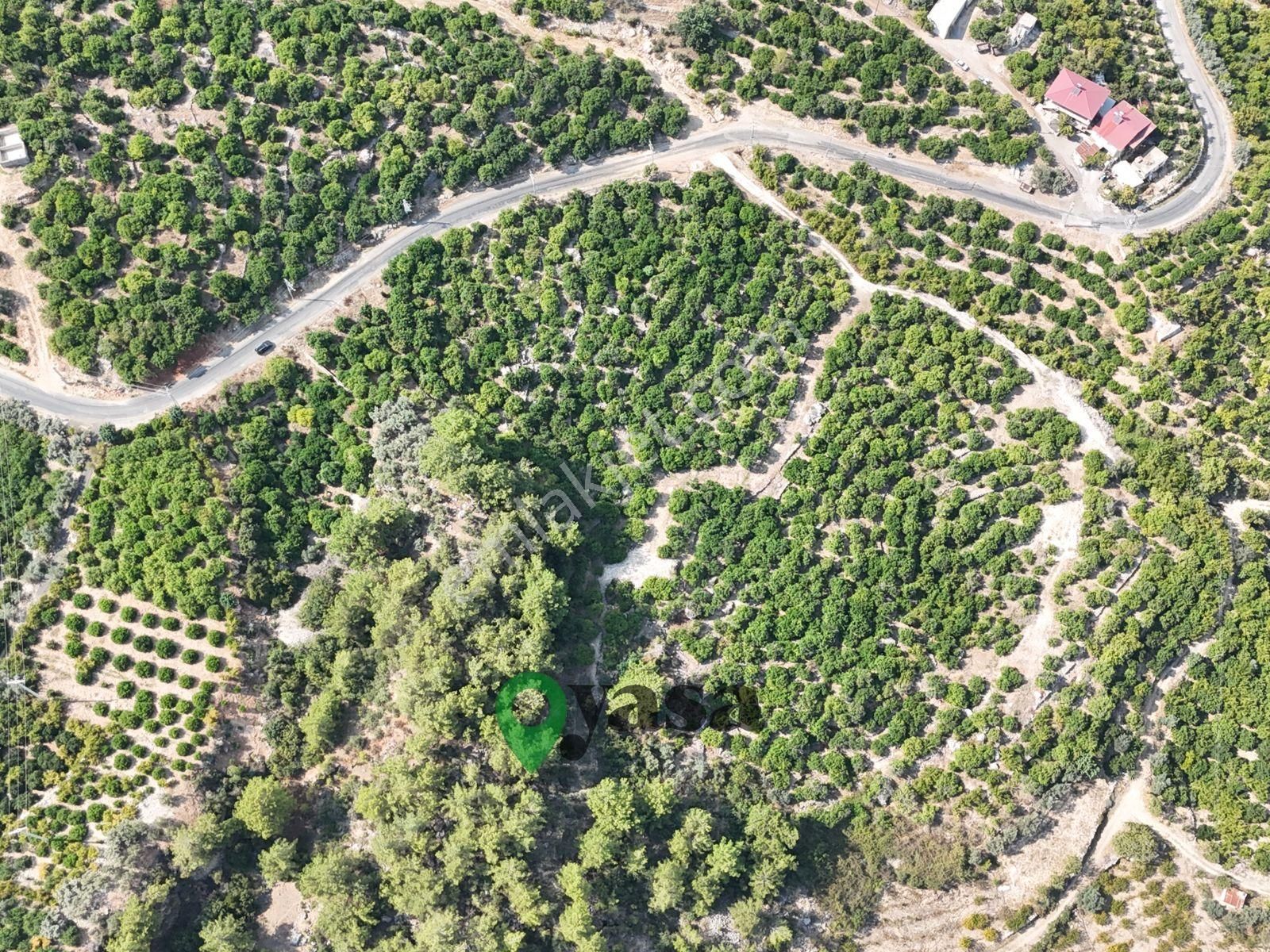 Yaşa Gyd - Yenişehir Karahacılı 27 Dönüm Satılık Limon Bahçesi - Görsel 3