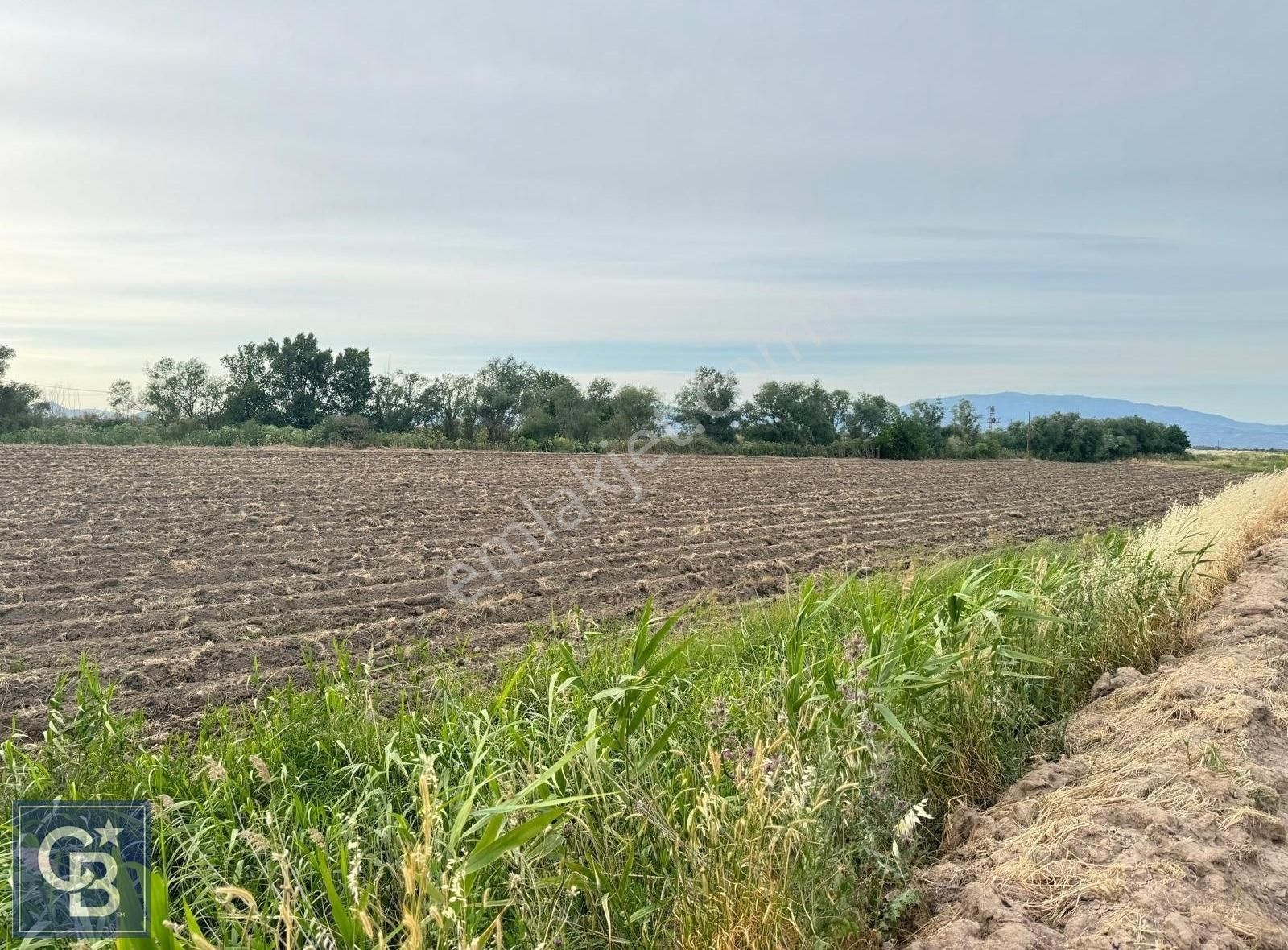 Bergama Zeytindağ Satılık Tarla İzmir Bergama Zeytindağ'da Satılık 2700 Metrekare Arsa