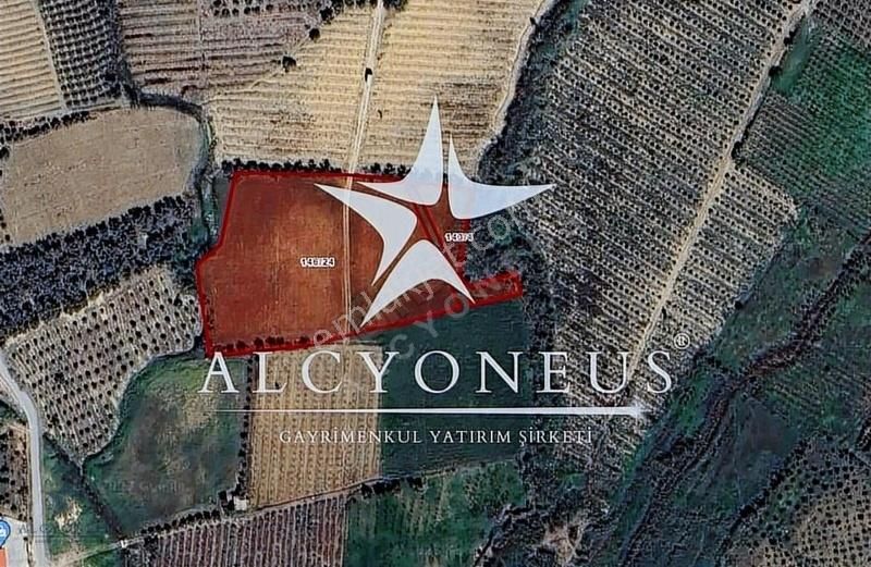 Toroslar Çopurlu Satılık Tarla ▙ALCYONEUS▟'DEN TOROSLR ÇOPURLU'DA TEKTAPU»9.110m²»YATIRMLK ARSA