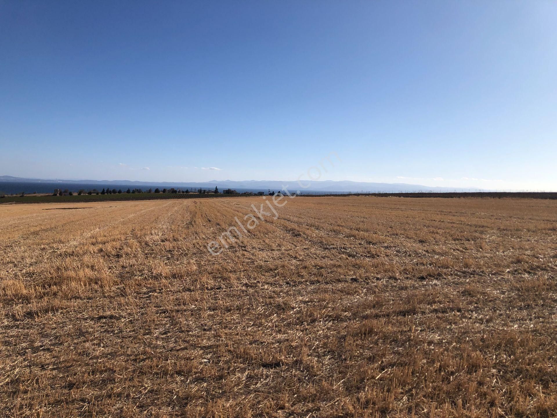 Şarköy De Işık Emlaktan Kızılcaterzi Mah De 30.000 M2 Tarla - Görsel 6