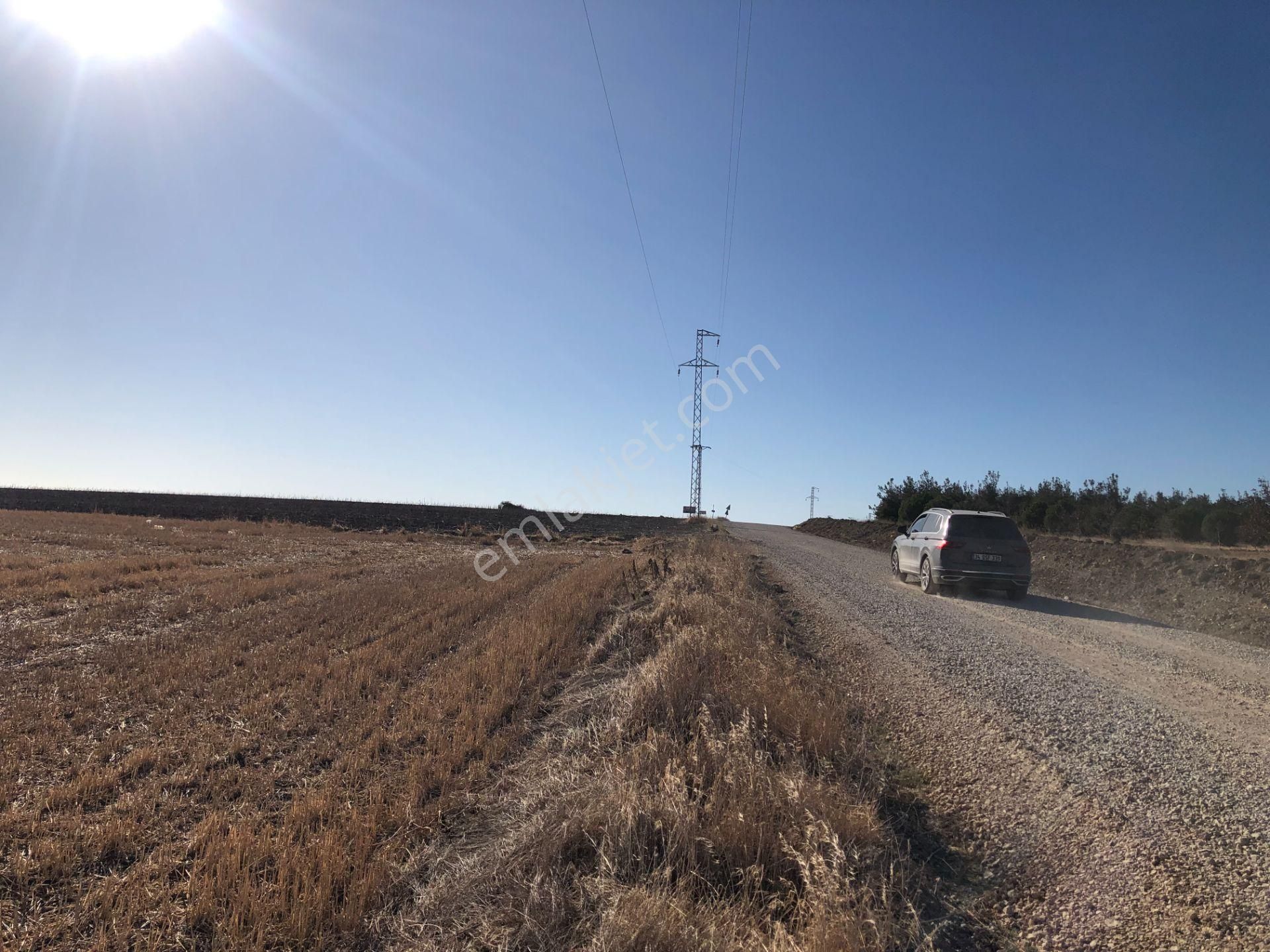 Şarköy De Işık Emlaktan Kızılcaterzi Mah De 30.000 M2 Tarla - Görsel 12