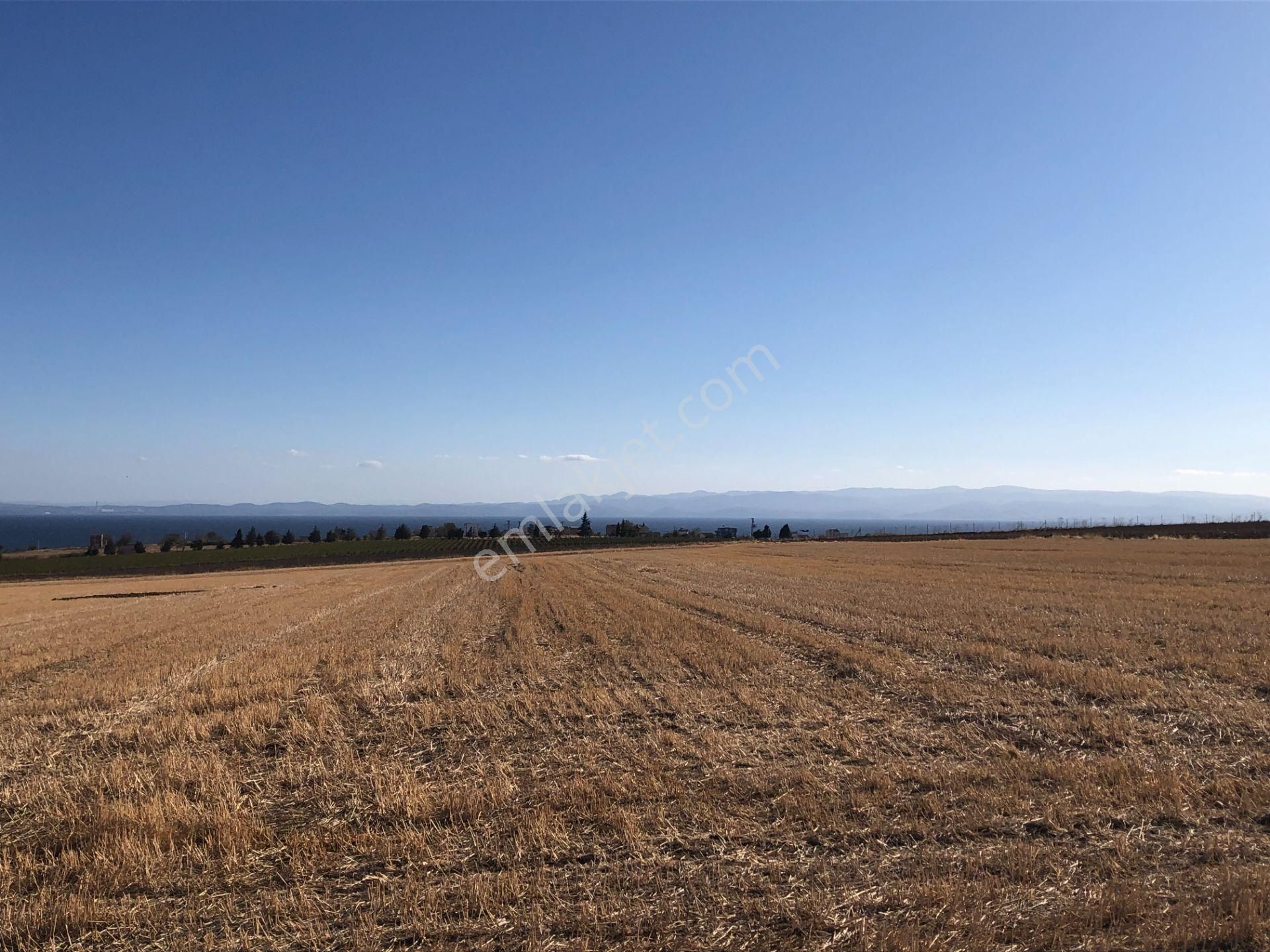 Şarköy De Işık Emlaktan Kızılcaterzi Mah De 30.000 M2 Tarla - Görsel 5