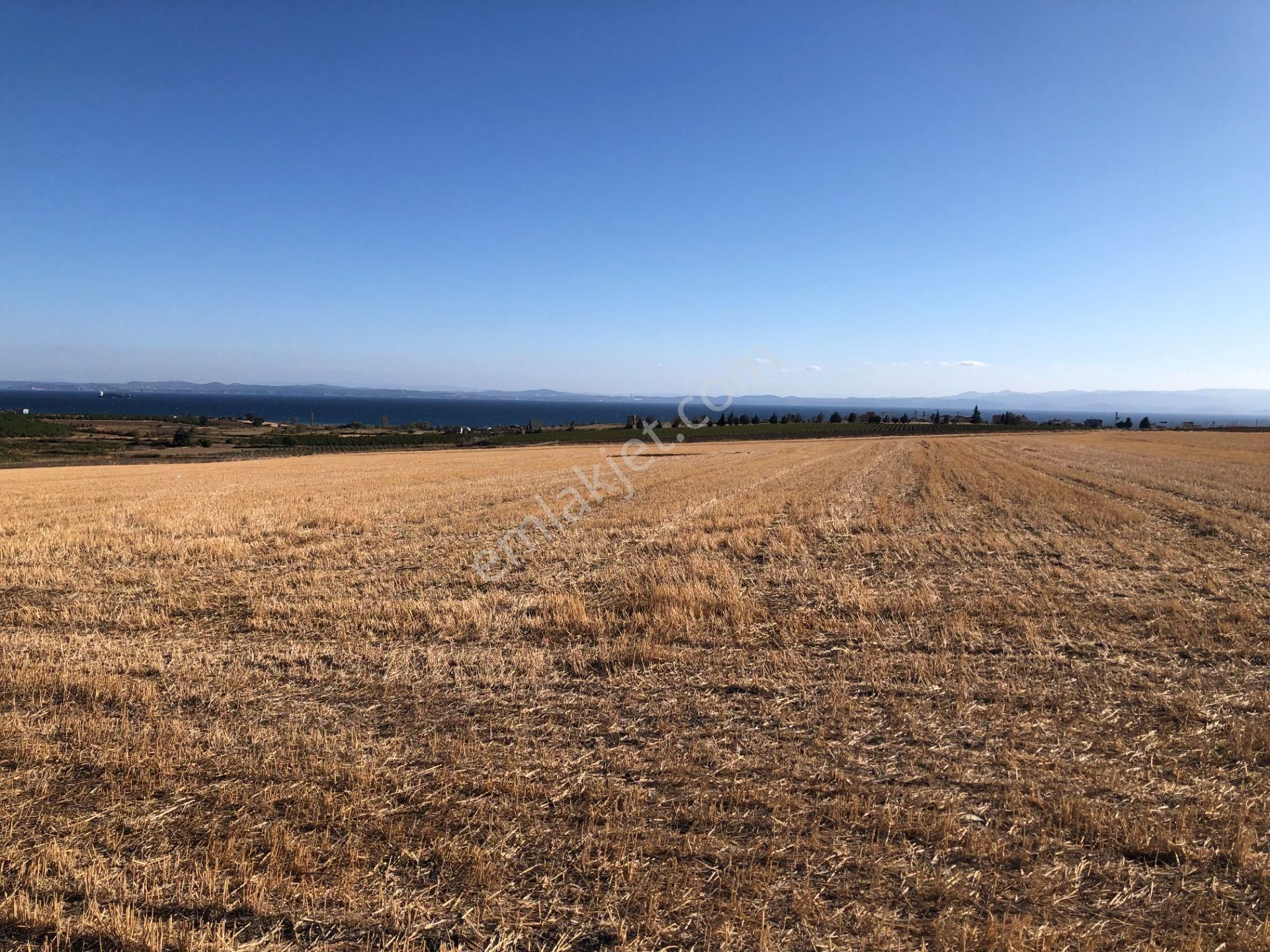 Şarköy De Işık Emlaktan Kızılcaterzi Mah De 30.000 M2 Tarla - Görsel 9