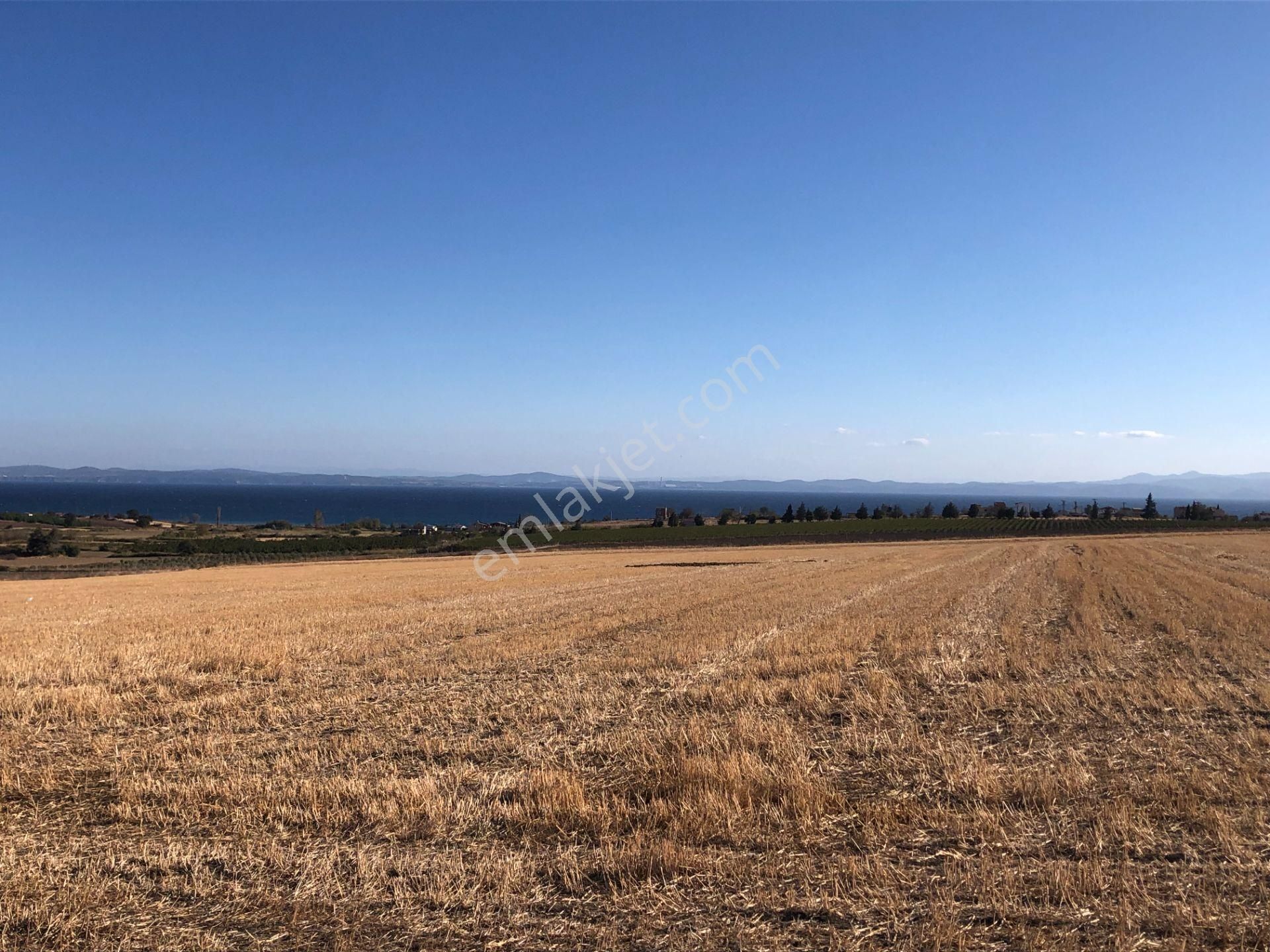 Şarköy De Işık Emlaktan Kızılcaterzi Mah De 30.000 M2 Tarla - Görsel 7