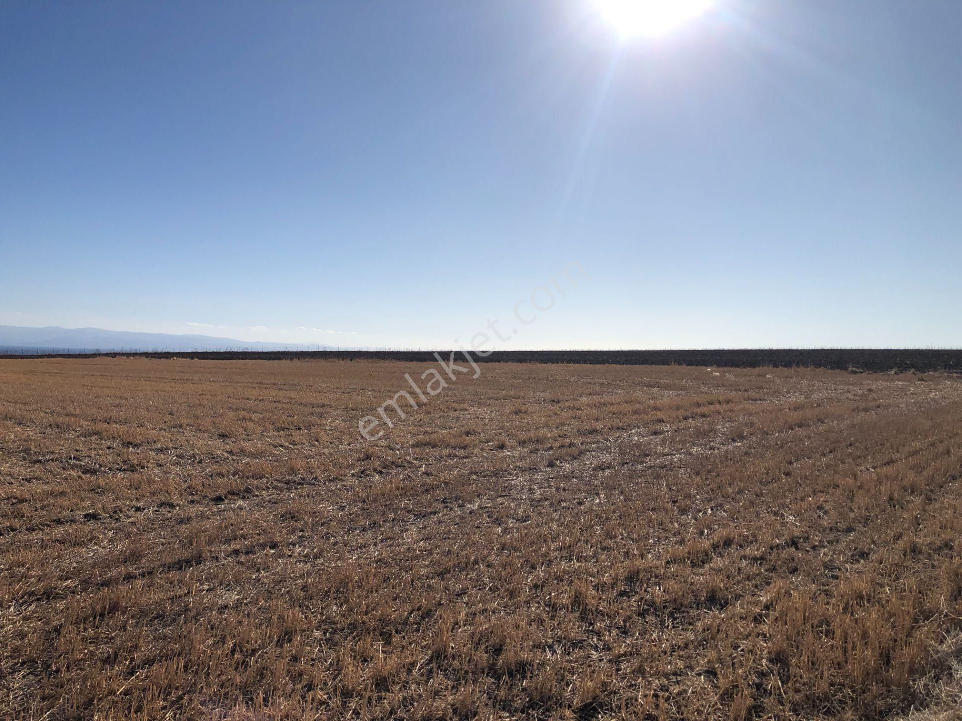 Şarköy De Işık Emlaktan Kızılcaterzi Mah De 30.000 M2 Tarla - Görsel 10