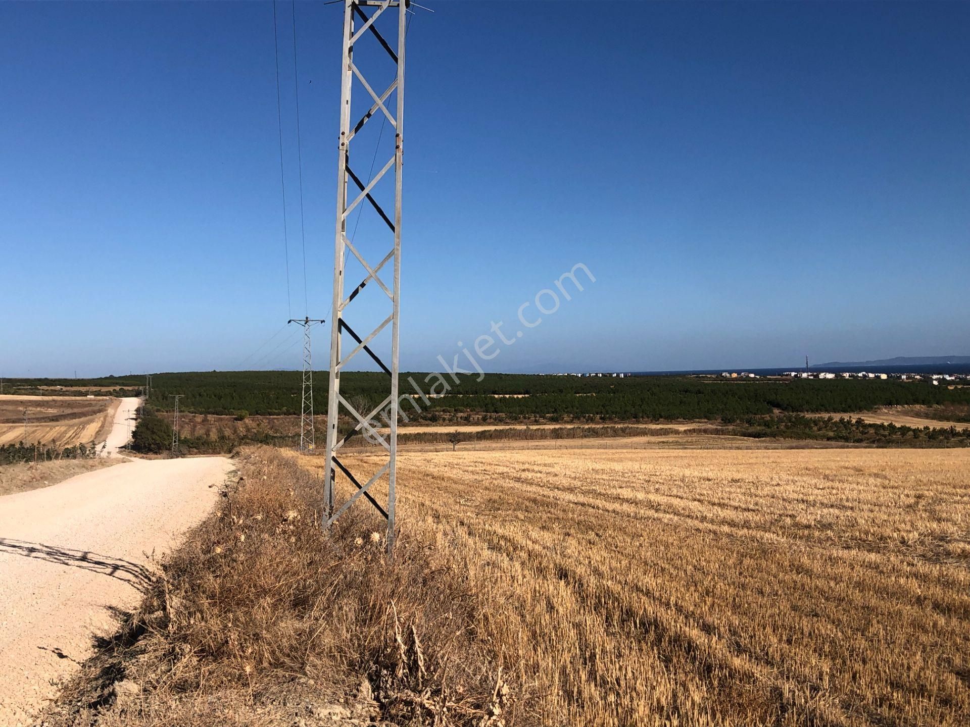 Şarköy De Işık Emlaktan Kızılcaterzi Mah De 30.000 M2 Tarla - Görsel 13