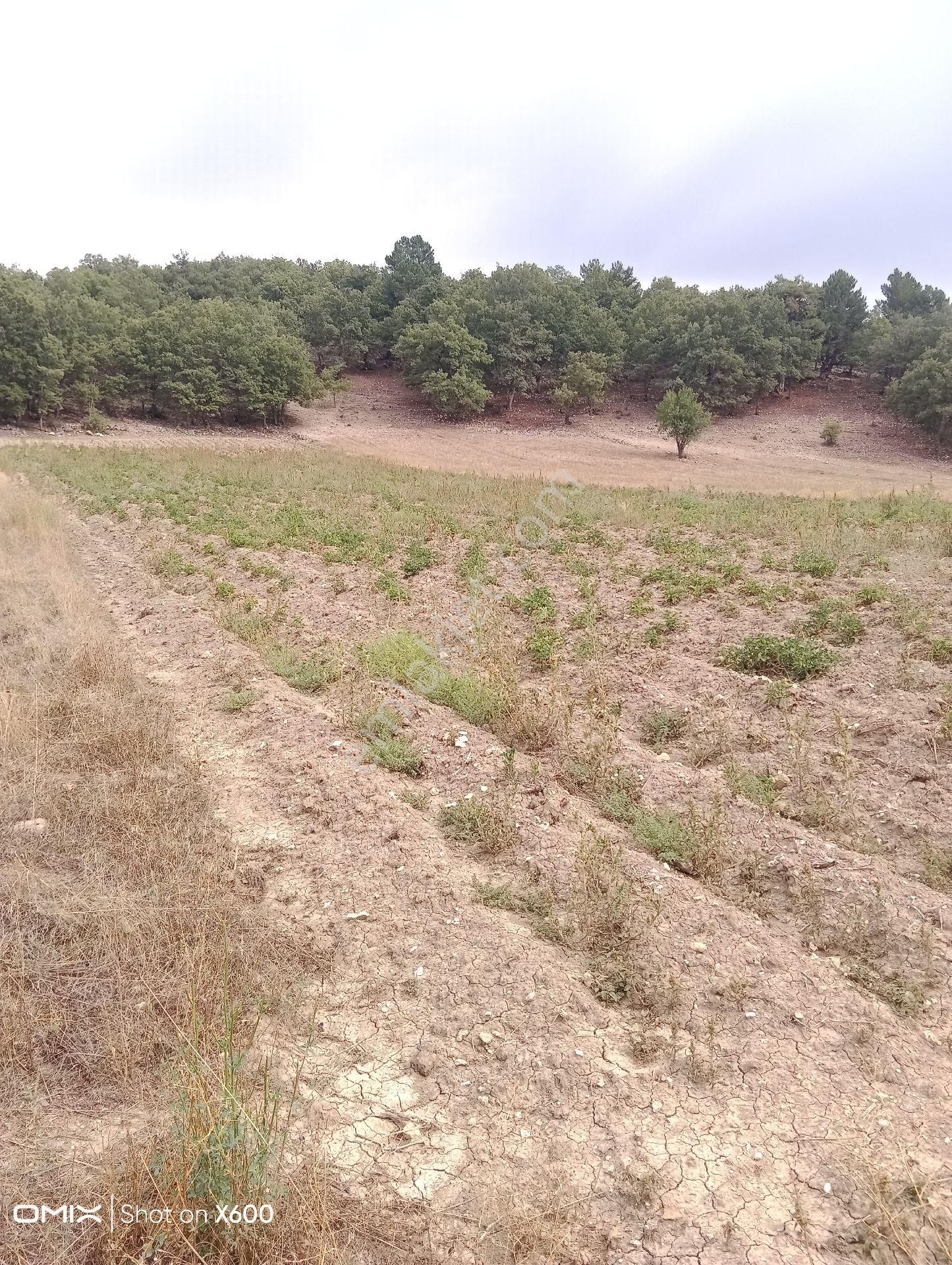 Burdur Altınyayla Satılık Köy Arsası - Görsel 8