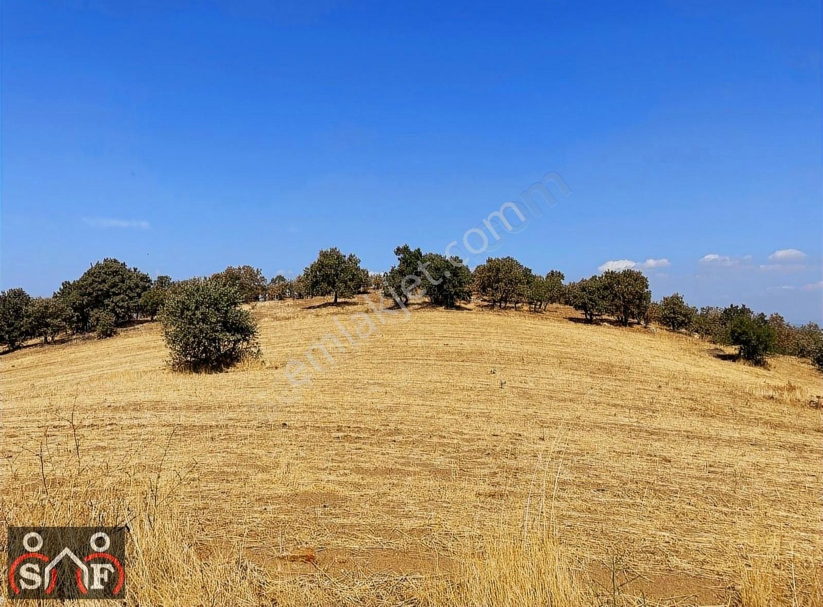 Salihli Poyraz Satılık Tarla Manisa Salihli