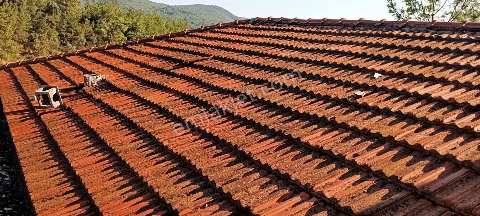 Yeniköyde İçinde Malikane Gibi Ev Bulunan Tarla - Görsel 18