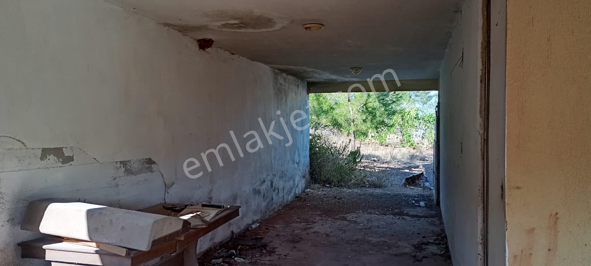 Yeniköyde İçinde Malikane Gibi Ev Bulunan Tarla - Görsel 32