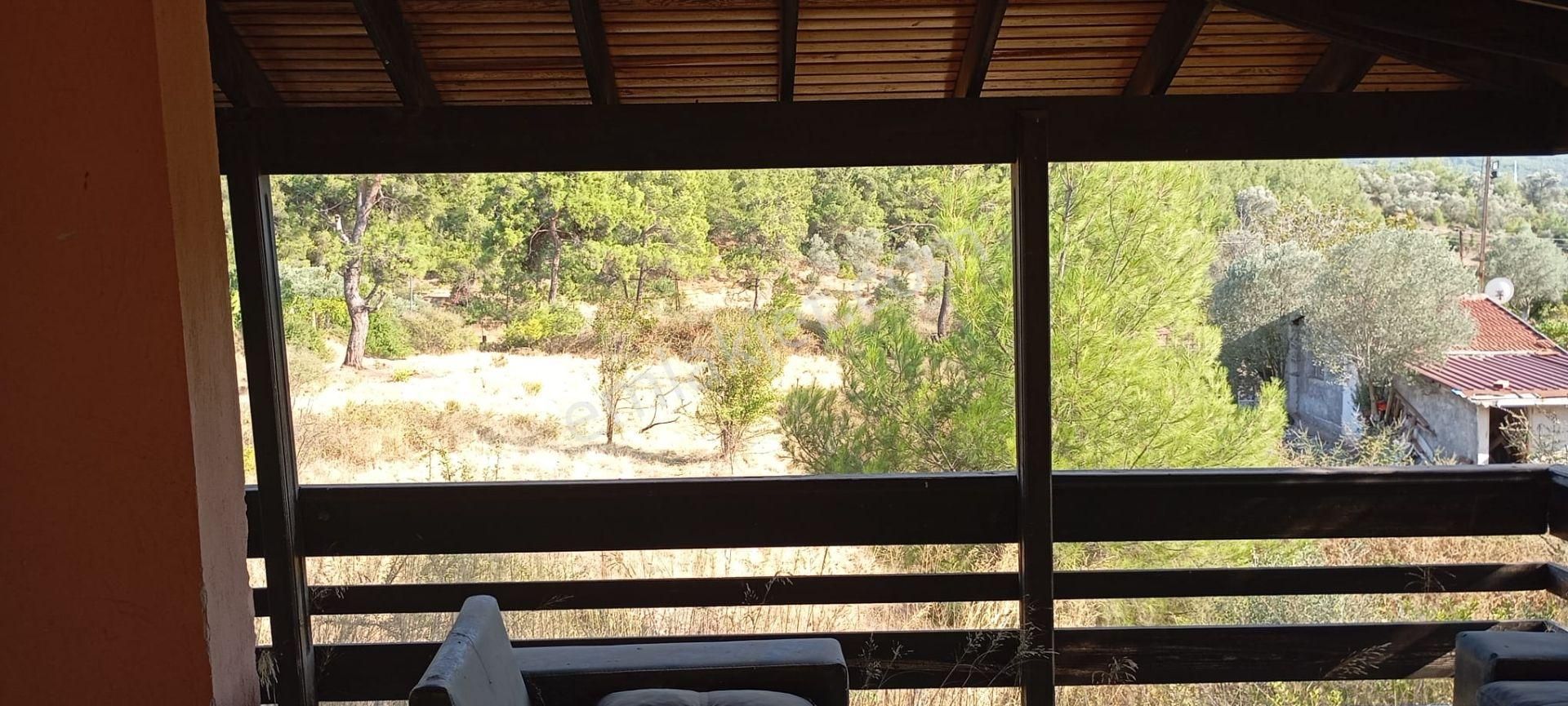 Yeniköyde İçinde Malikane Gibi Ev Bulunan Tarla - Görsel 16