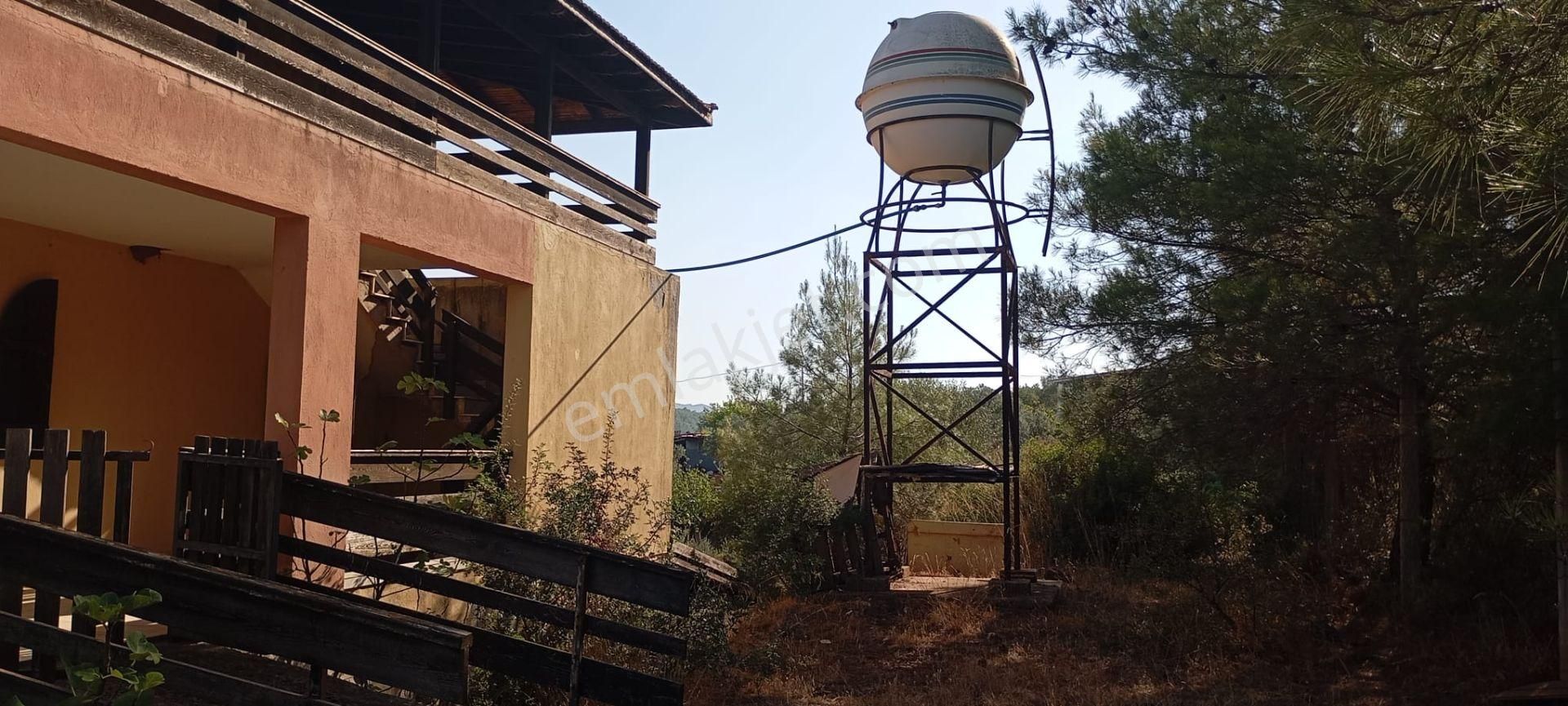 Yeniköyde İçinde Malikane Gibi Ev Bulunan Tarla - Görsel 31