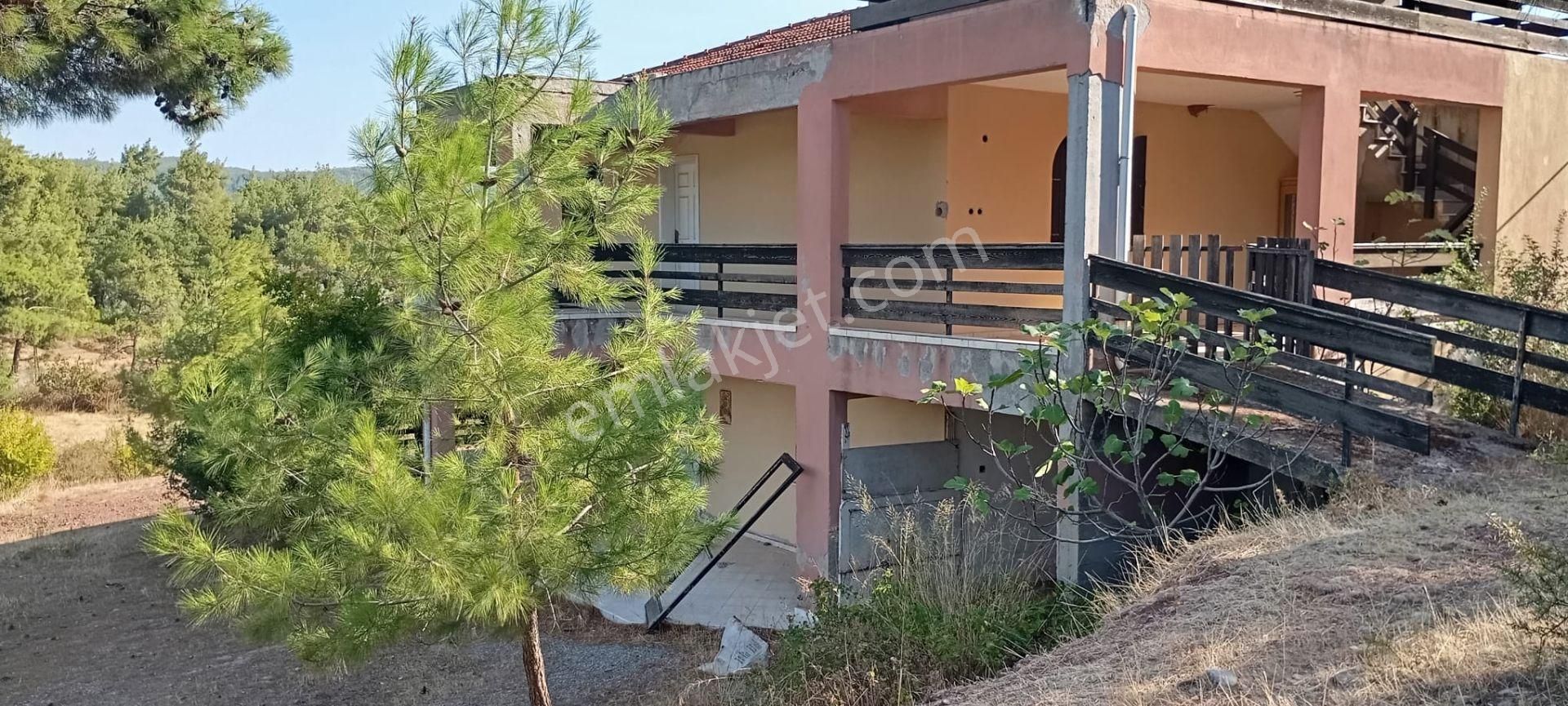 Yeniköyde İçinde Malikane Gibi Ev Bulunan Tarla - Görsel 2