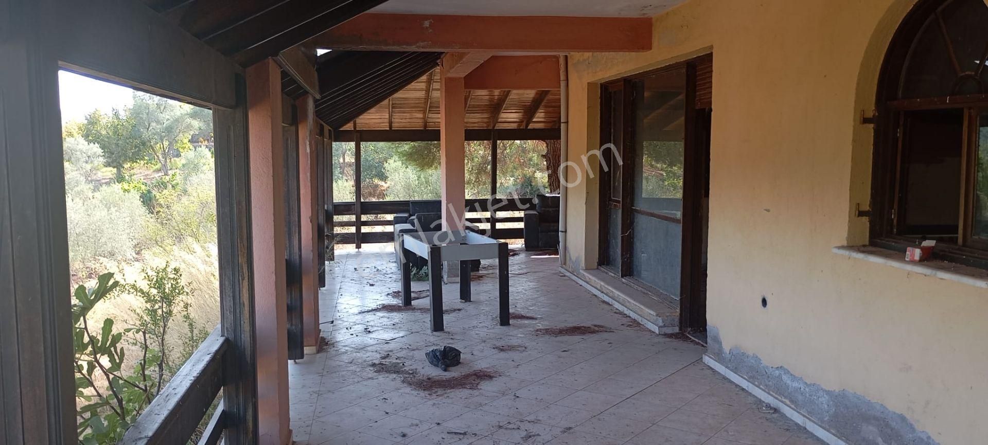 Yeniköyde İçinde Malikane Gibi Ev Bulunan Tarla - Görsel 4