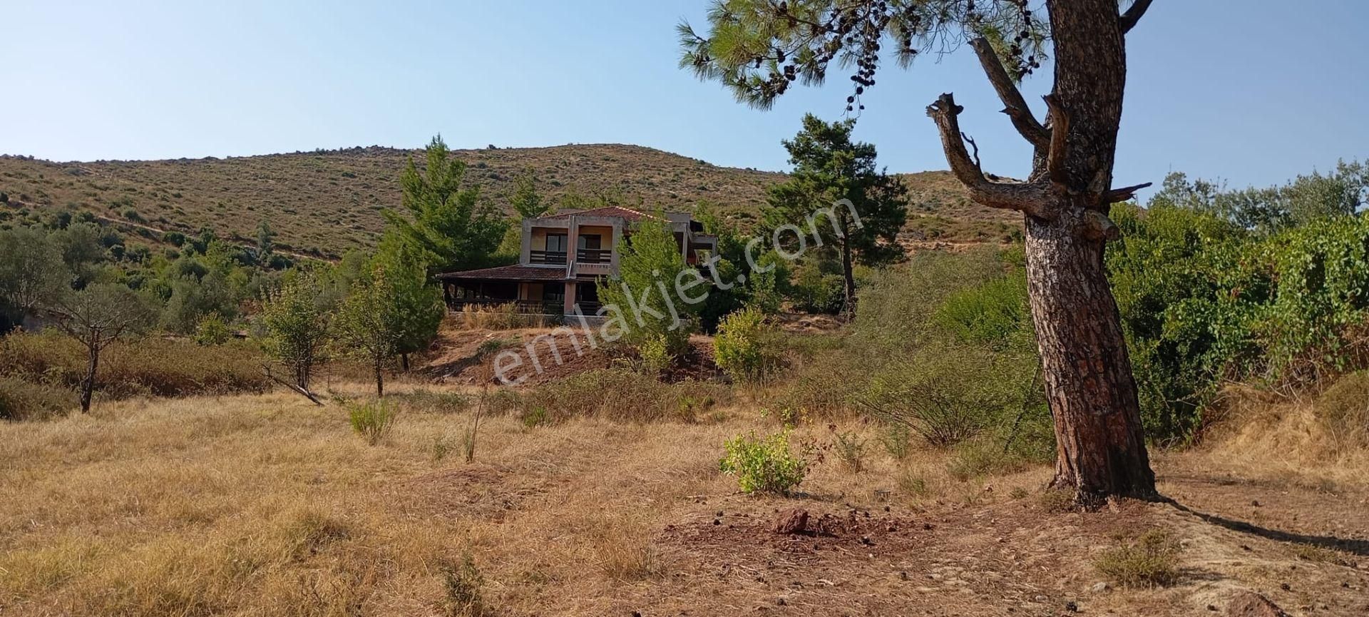 Yeniköyde İçinde Malikane Gibi Ev Bulunan Tarla - Görsel 9