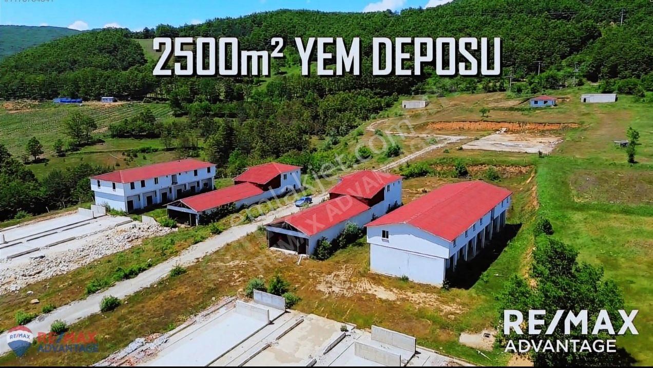 Çok Güzel Çiflik - Görsel 15