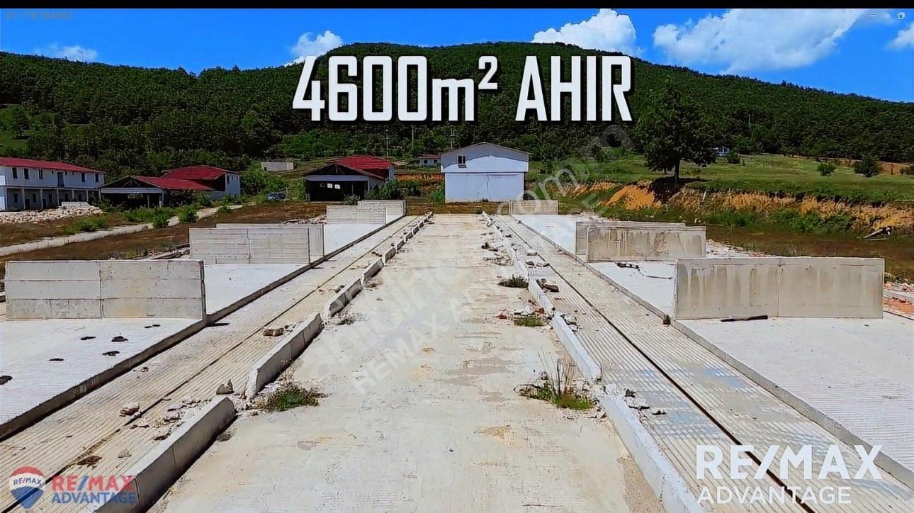 Çok Güzel Çiflik - Görsel 17