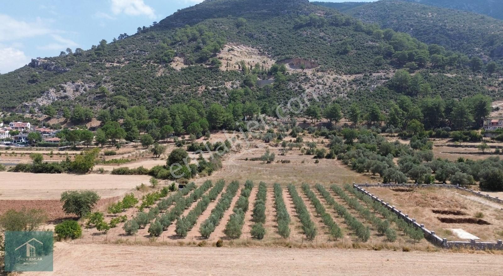 Fethiye Yeşilüzümlü Satılık Tarla Türev Emlaktan Fethiye Üzümlüde Satılık Tarla