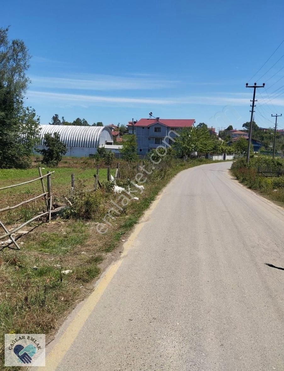 Kocaali Melen Satılık Bağ & Bahçe Karasu Kocaali Melen Mahallesinde 619 M2 Asfalt Yol Üzeri Arazi