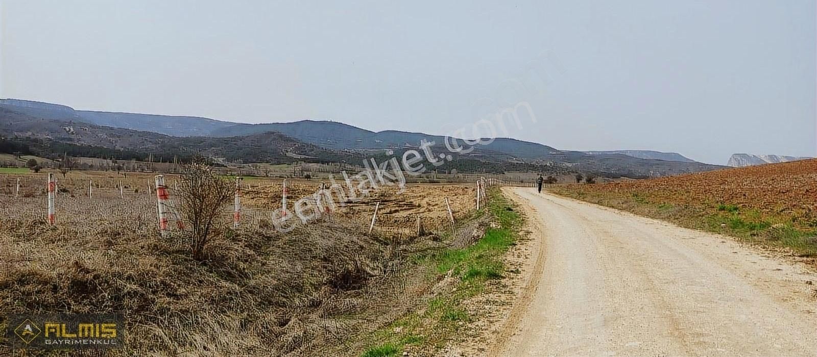 Yenipazar Danişment Köyü Satılık Tarla BİLECİK YENİPAZAR DANIŞMENT KÖYÜ İLÇESİNE 3 KM YAKINLIKTA