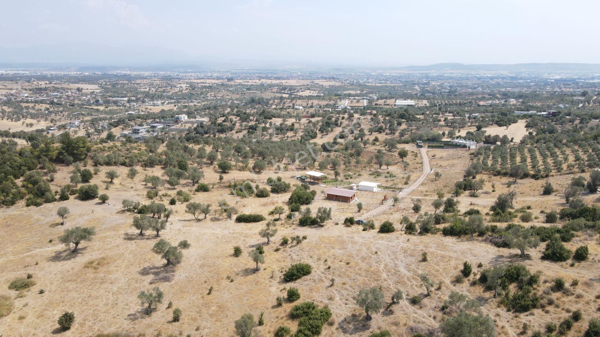 Menderes Akçaköy Satılık Tarla  MENDERES MERKEZE YAKIN SATILIK TEK TAPU 13.300 M2 YATIRIMLIK ARAZİ