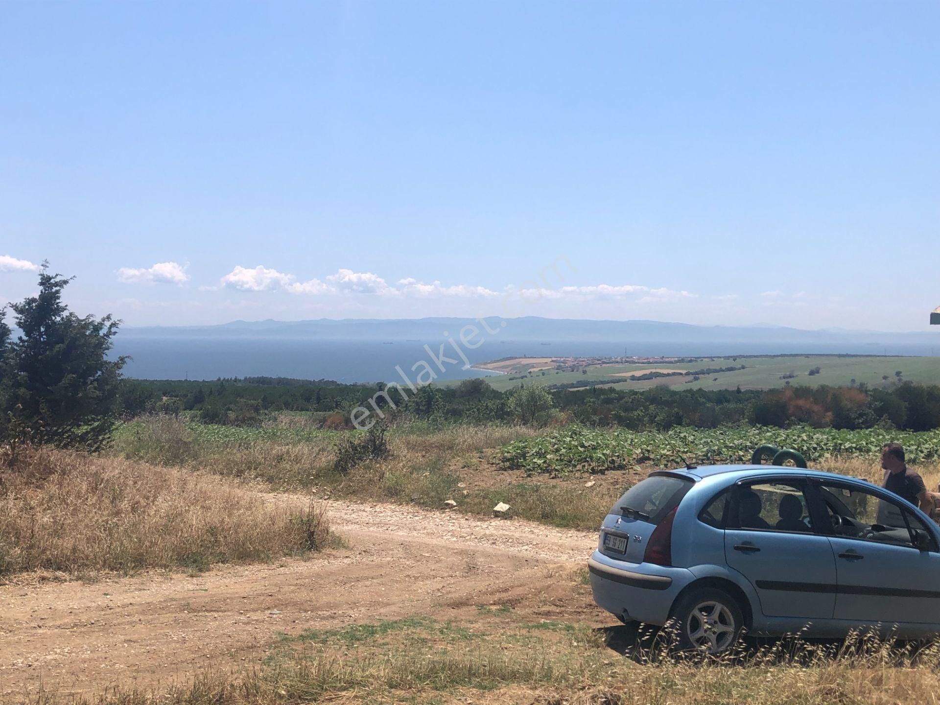 Şarköy Kocaali Satılık Tarla Şarköy De Işık Emlaktan Kocaali Mah De 930 M2 Tarla