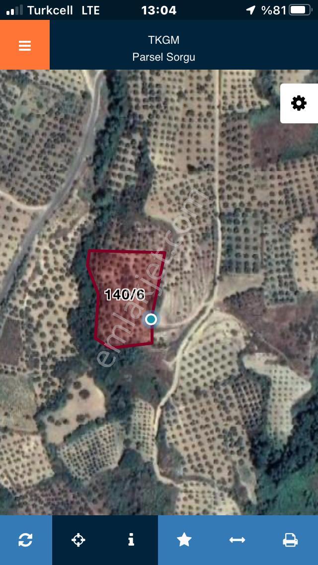 Şarköyde Işık Emlaktan Yukarıkalamış Mah De4888 M2 Zeytinlik - Görsel 12