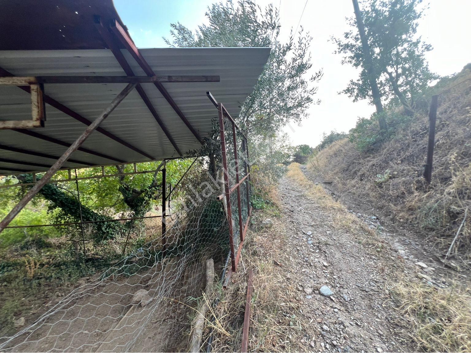 Atça Kılavuzlar Da Satılık Yola Sıfır Bahçe - Görsel 10