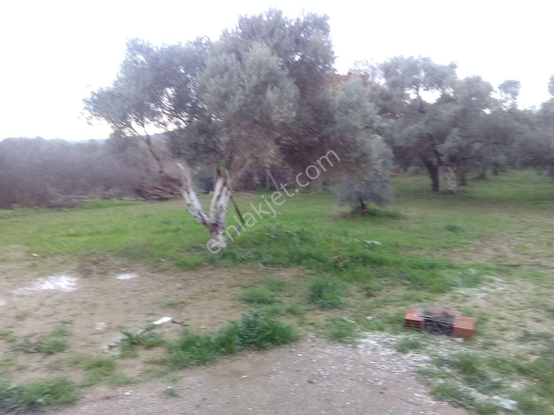 İzmir Torbalı Gold Emlaktan Satılık Bahçeli Ev - Görsel 20