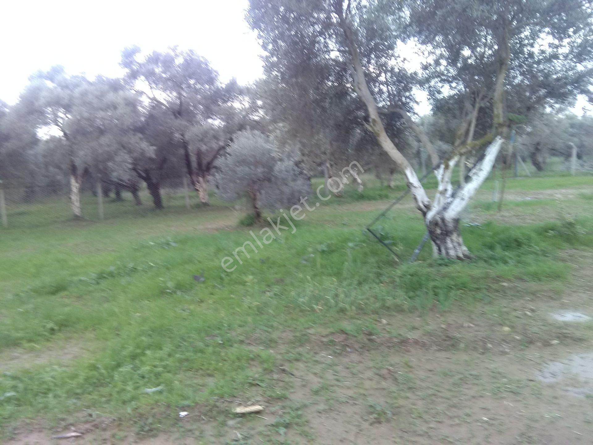 İzmir Torbalı Gold Emlaktan Satılık Bahçeli Ev - Görsel 7