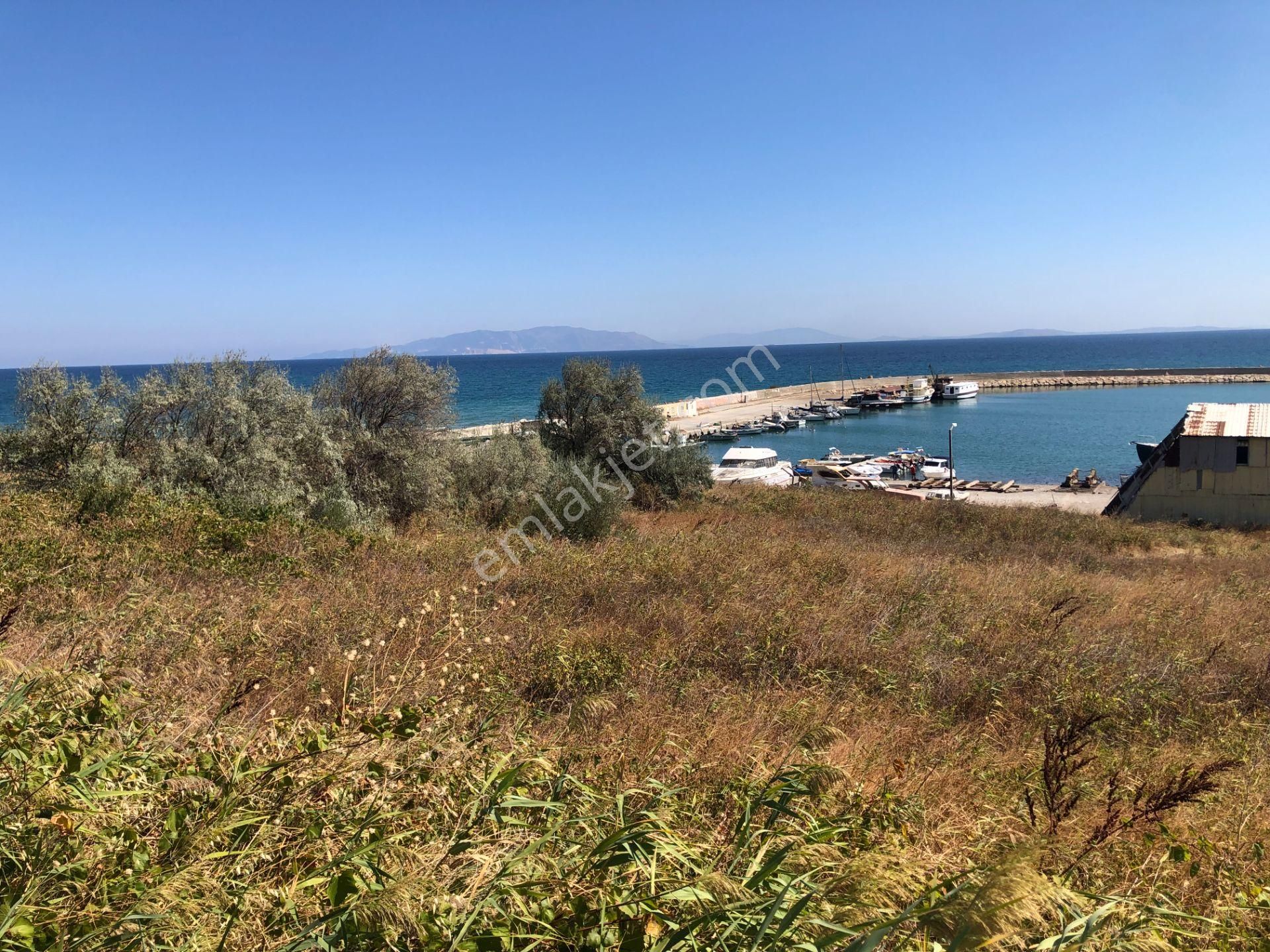 Şarköy De Işık Emlaktan Mürefte Mah De 4600 M2 0/20 İmarlı Arsa - Görsel 8