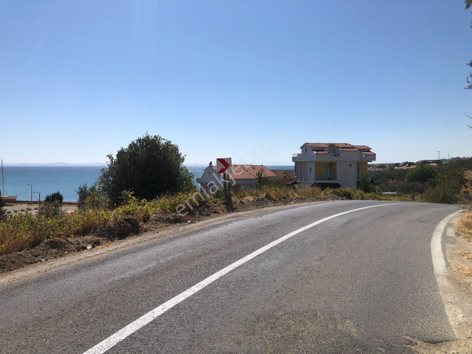 Şarköy De Işık Emlaktan Mürefte Mah De 4600 M2 0/20 İmarlı Arsa - Görsel 16